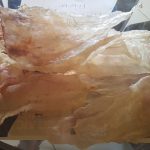seafood09