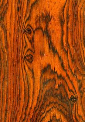 HONDURAN ROSEWOOD