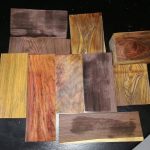 woods07