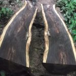 woods08